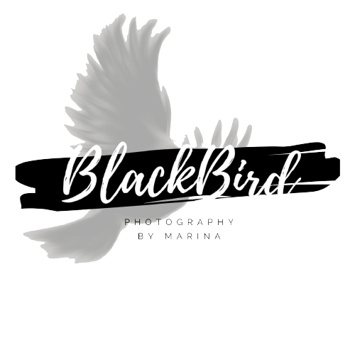 Blackbird