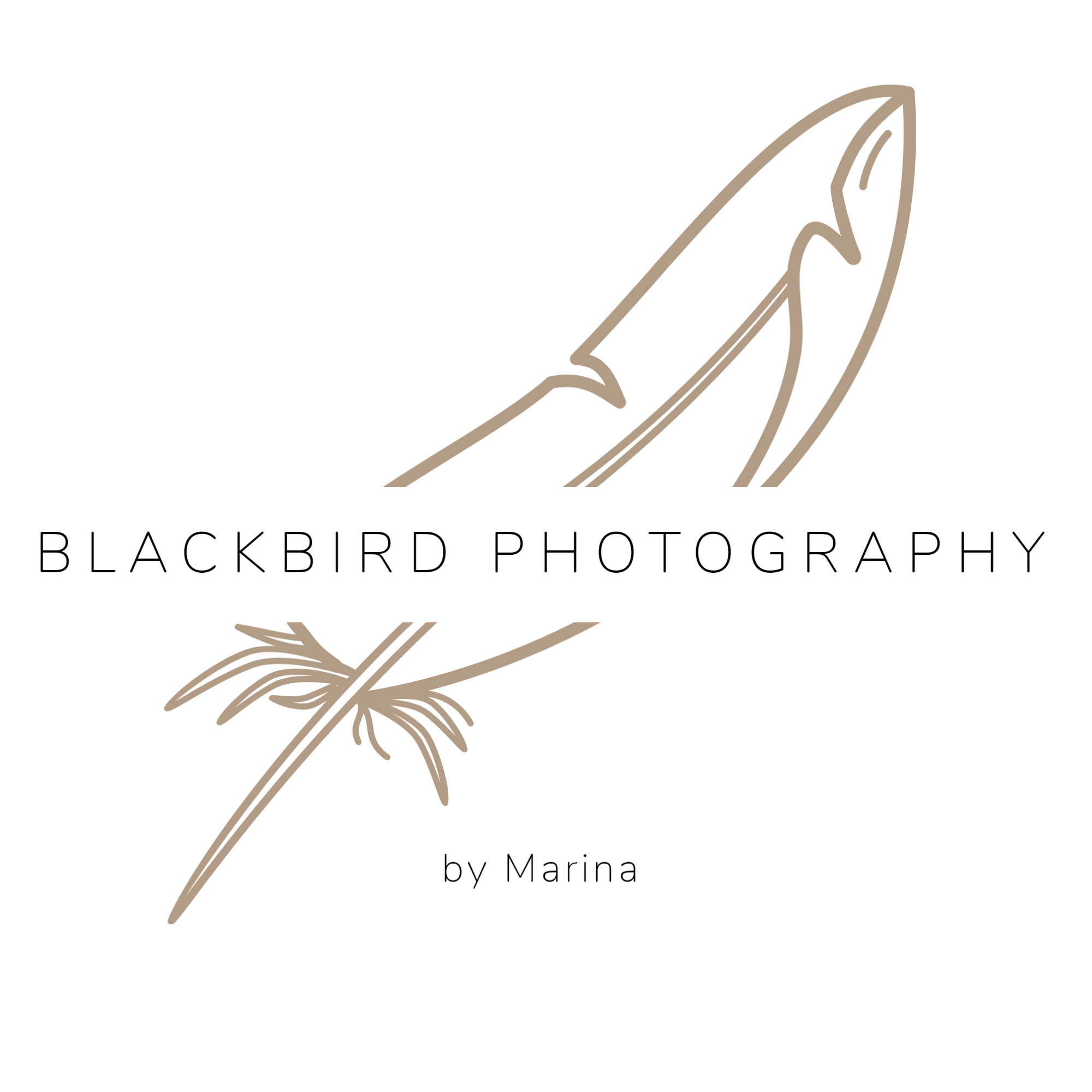 Blackbird Photography